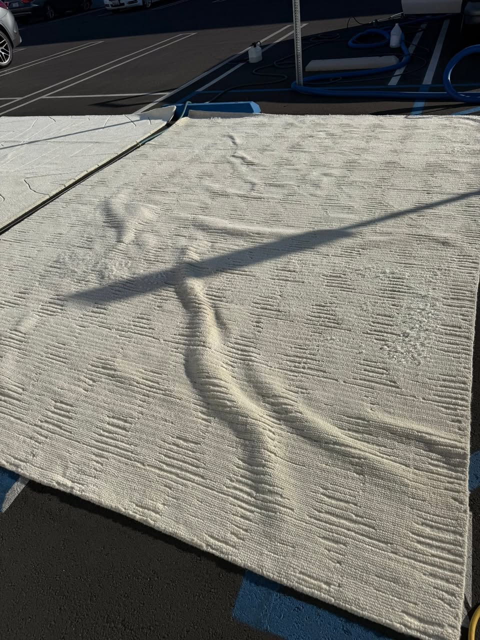 Area rug drying after cleaning by JD Carpet Care